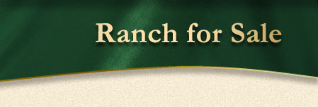 Ranch for Sale