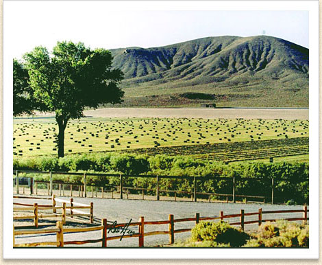 Photo of the Yerington Ranch