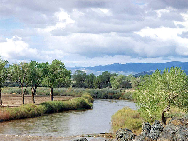 The Walker River