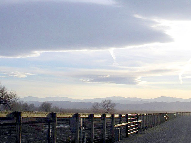 Ranch fences.