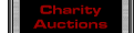 Charity Auctions Button