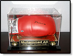Photo of Boxing Gloves