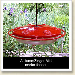 Hummzinger Mini nectar feeder.