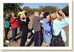 Autumn Birdwalk Participants