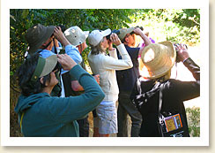 Participants of the June 9 Birdwalk