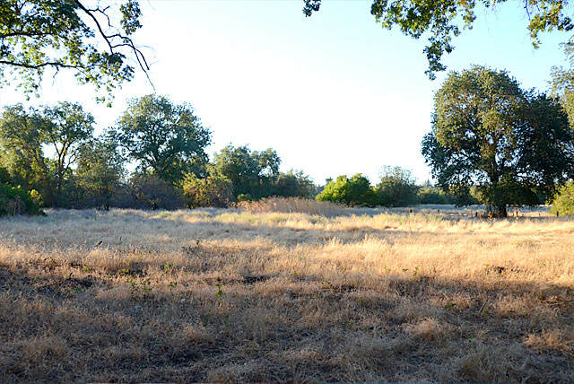 The American River Parkway