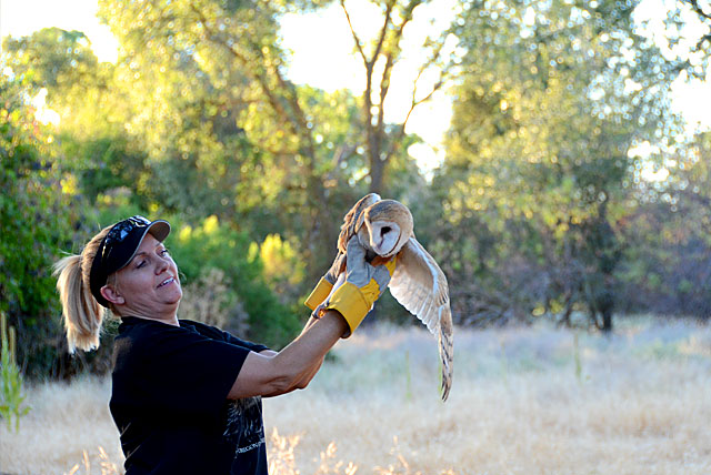 Theresa Bielawski and a rehabilitated Barn Owl