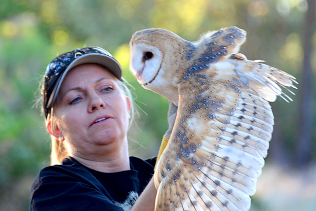 Theresa Bielawski and a rehabilitated Barn Owl
