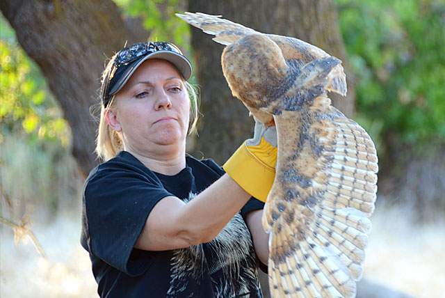 Theresa Bielawski and a rehabilitated Barn Owl