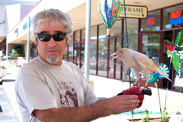 Doug Forbes and Ivory the leucistic Crow