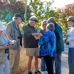 Bird Walk leader Ed Sherry identifies a bird in the Sibley Field Guide.