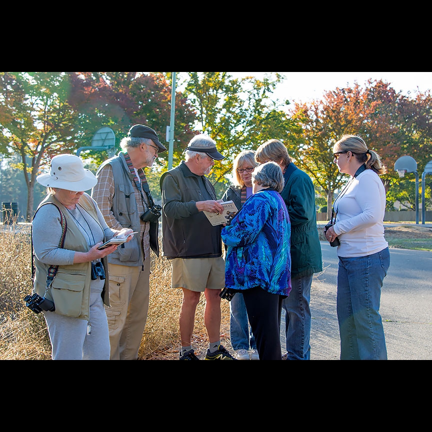 Bird Walk leader Ed Sherry identifies a bird in the Sibley Field Guide.