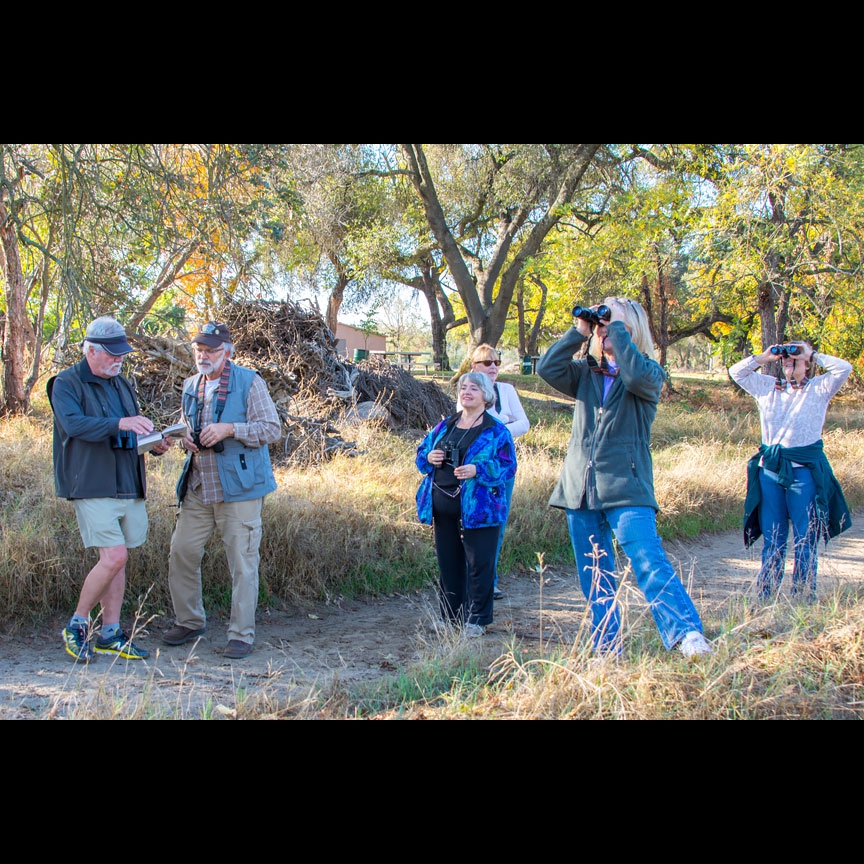 The birders make their way along the Parkway.