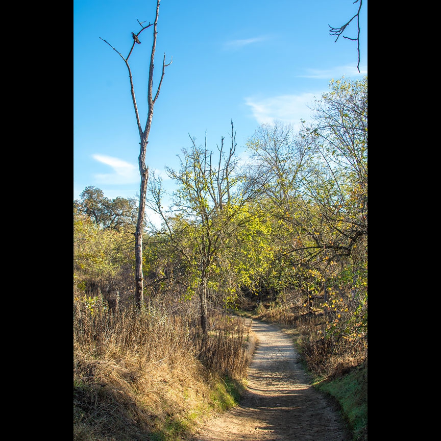 The trail stretches upriver as a Turkey Vulture views from above.