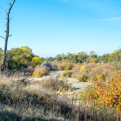 Another Parkway vista.