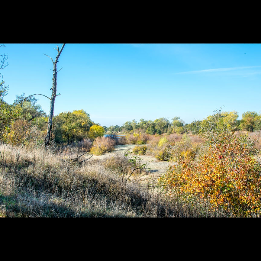 Another Parkway vista.