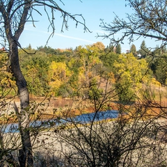 The American River viewed through autumn leaves.