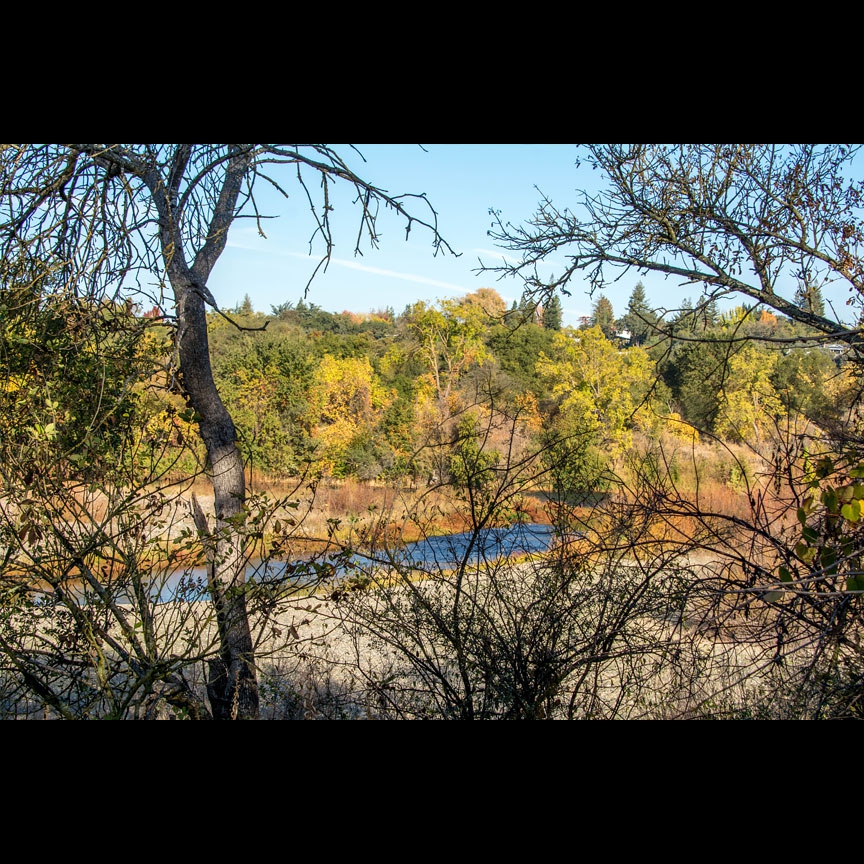 The American River viewed through autumn leaves.