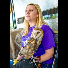 Theresa Bielawski of the Wildlife Care Association and Athena the Barn Owl.