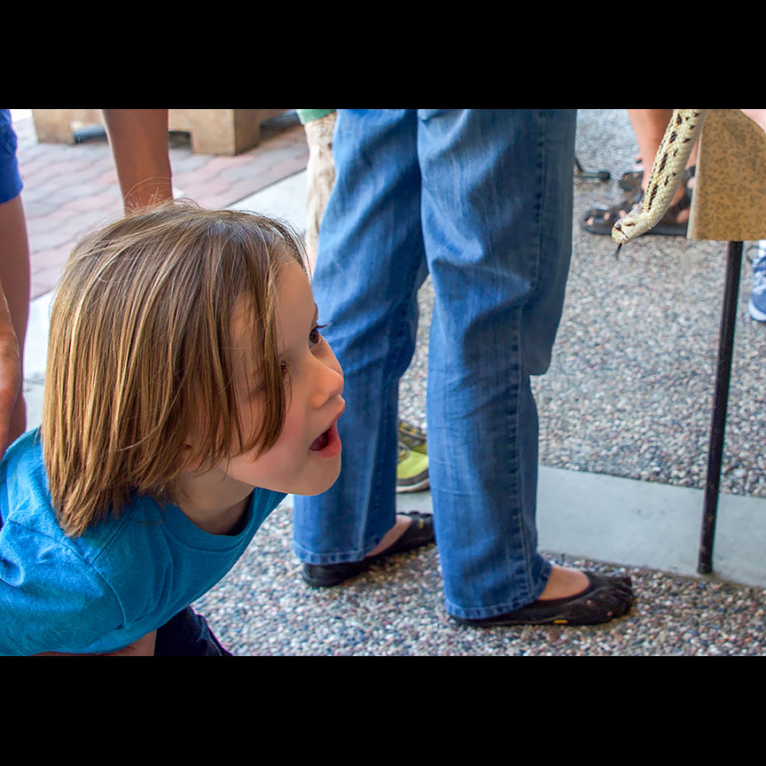 The gopher snake -- a new addition at a Wild Birds & Gardens event -- mesmerized the kids.