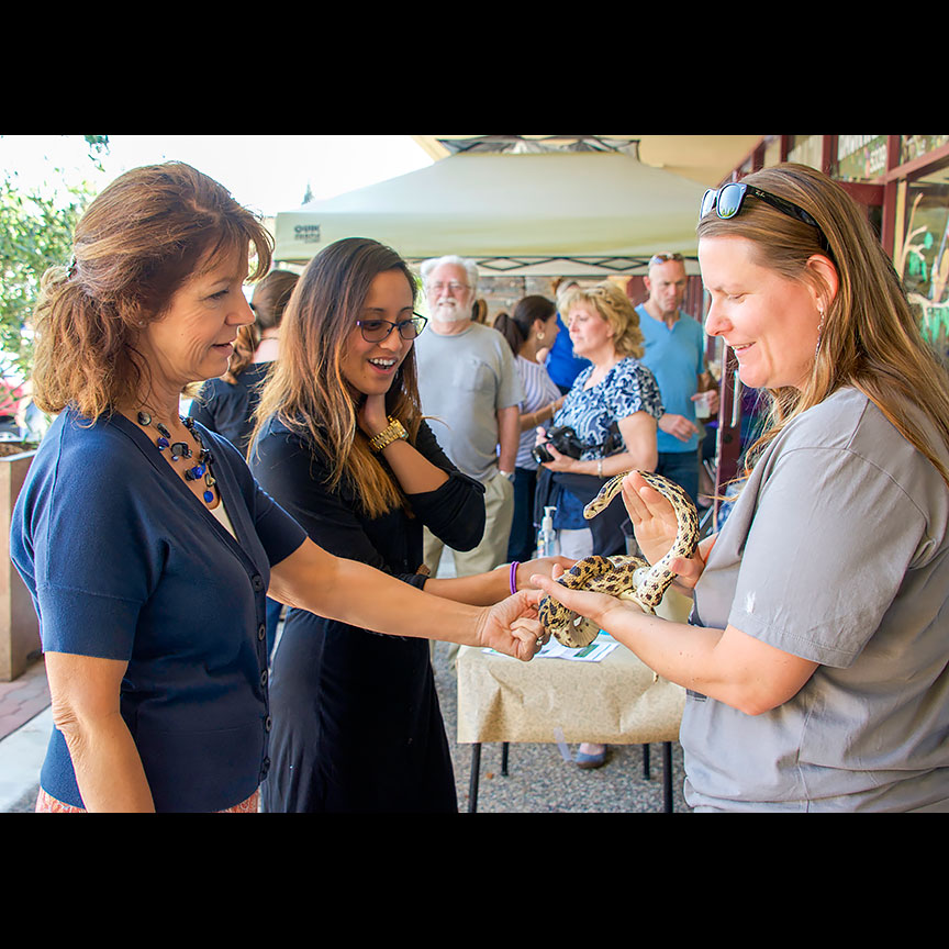 Even the ladies were charmed by the undulating gopher snake.