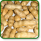 Peanuts in the Shell