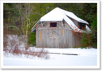 Winter